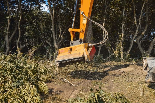 Brush Removal Service in El Dorado Hills