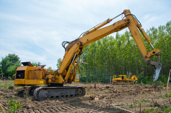 Farm Clearing in El Dorado Hills