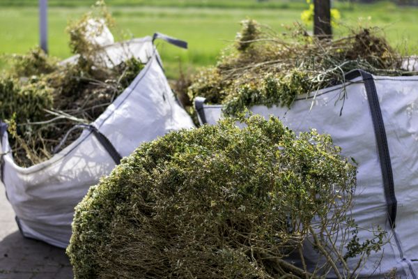 Bushes Clearing in El Dorado Hills